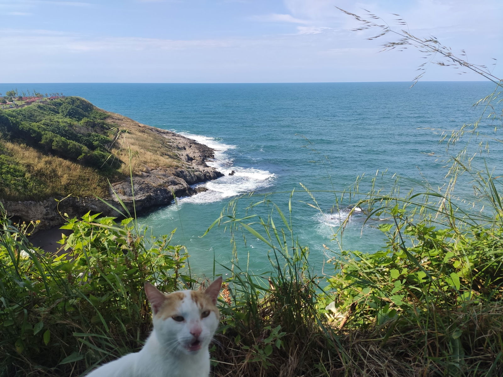 Şile Balıkçısı Ekrem Abinin Yeri