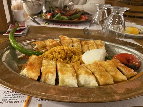 Özler Döner resimleri