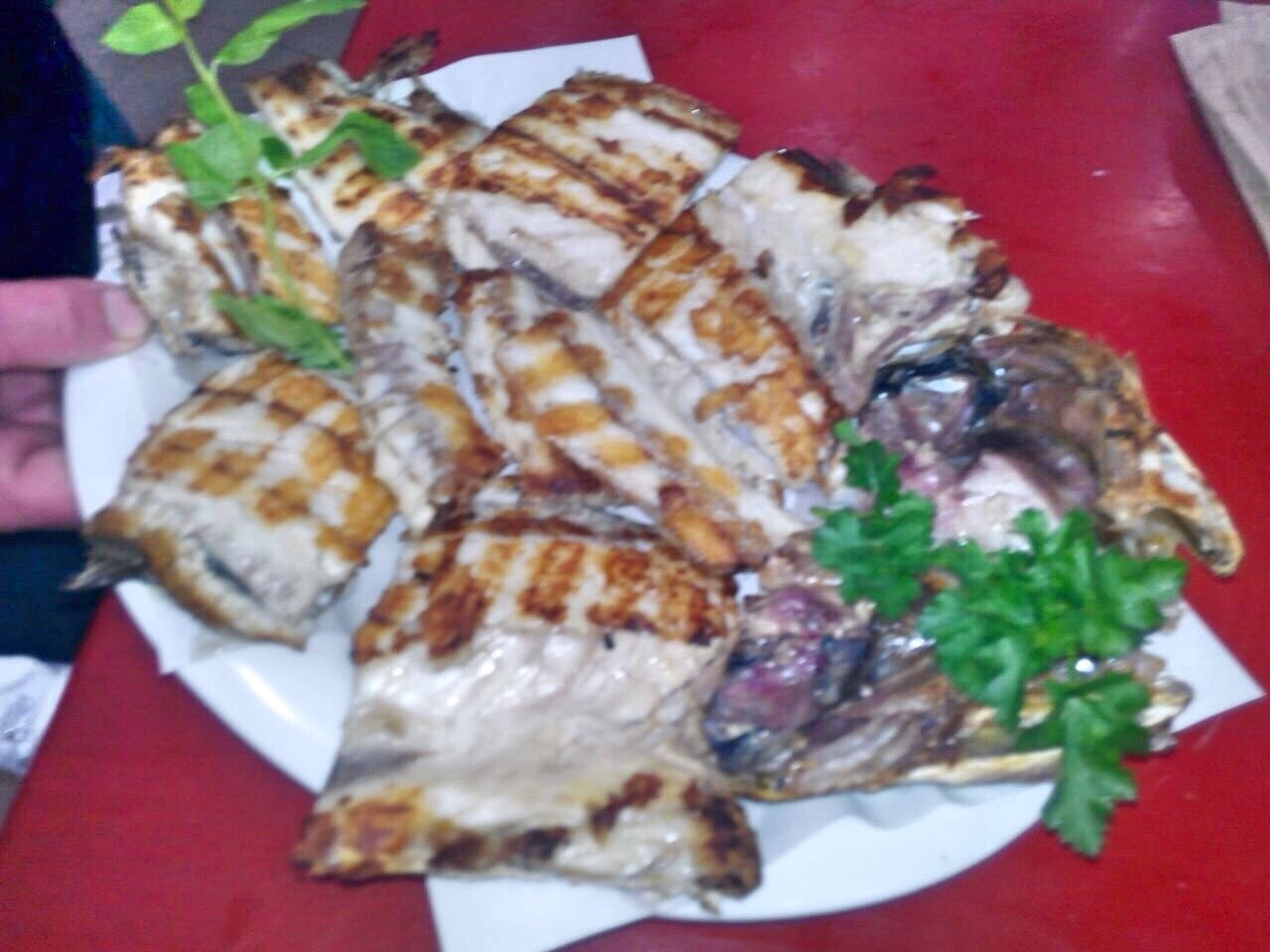 Pozcu Balıkçılık