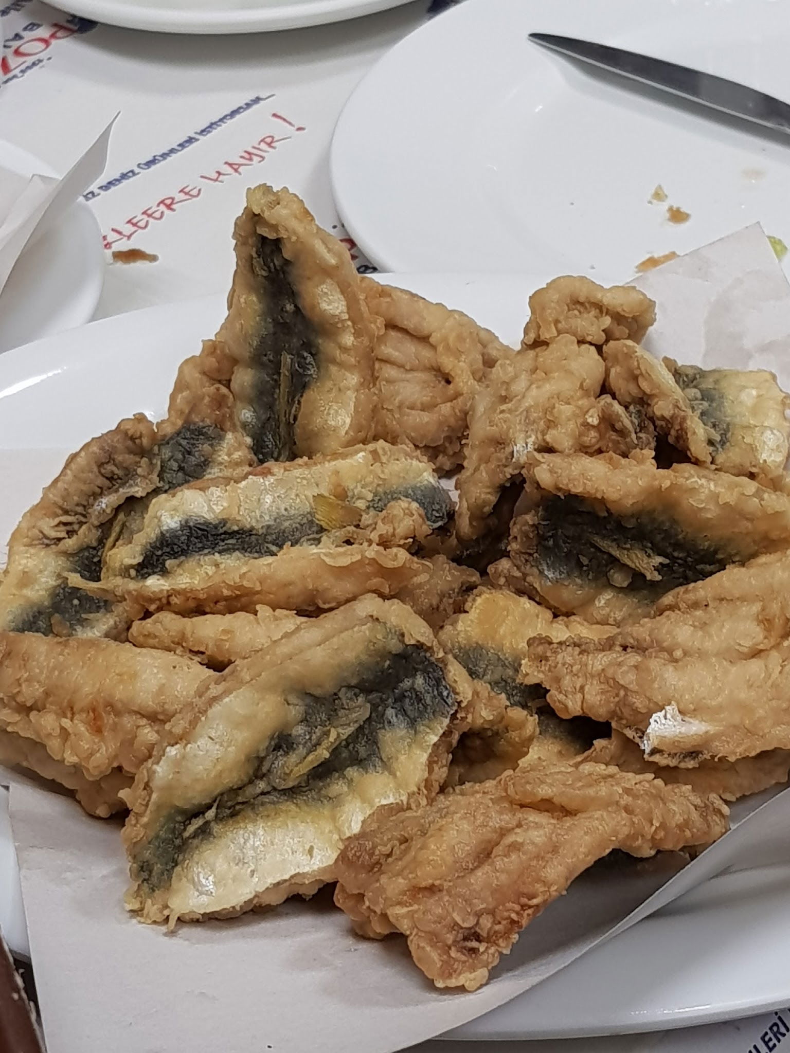 Pozcu Balıkçılık