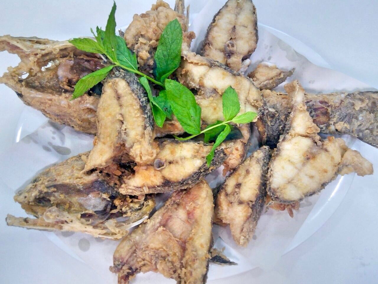 Pozcu Balıkçılık