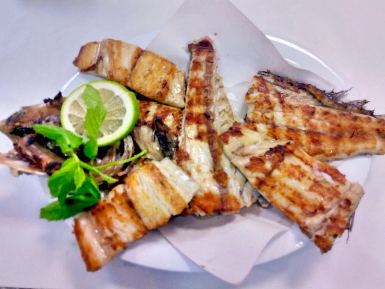 Pozcu Balıkçılık