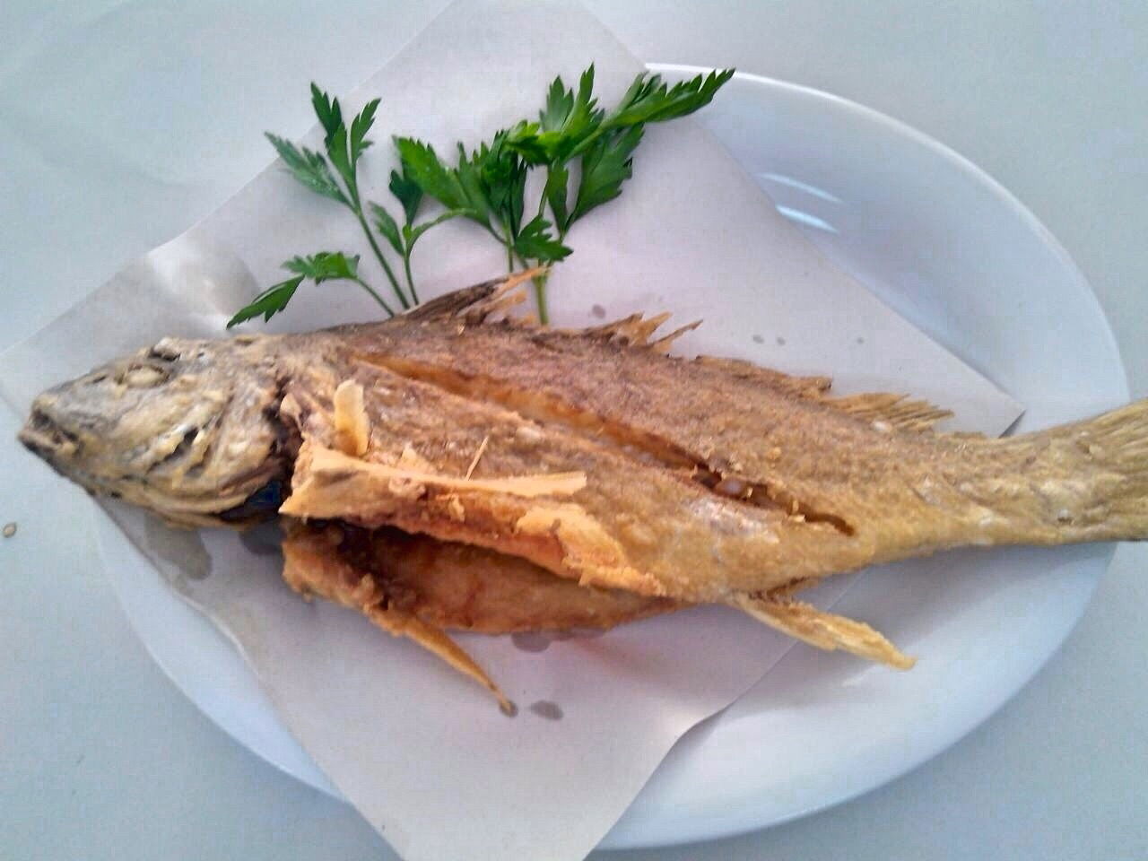 Pozcu Balıkçılık