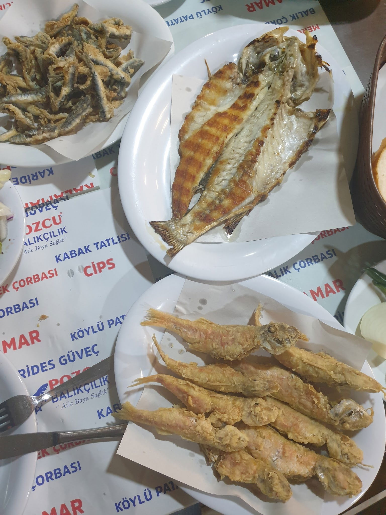 Pozcu Balıkçılık