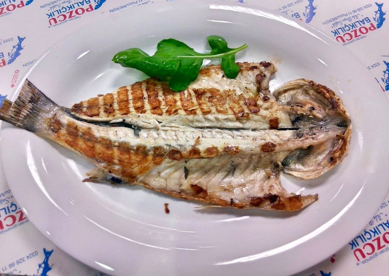 Pozcu Balıkçılık