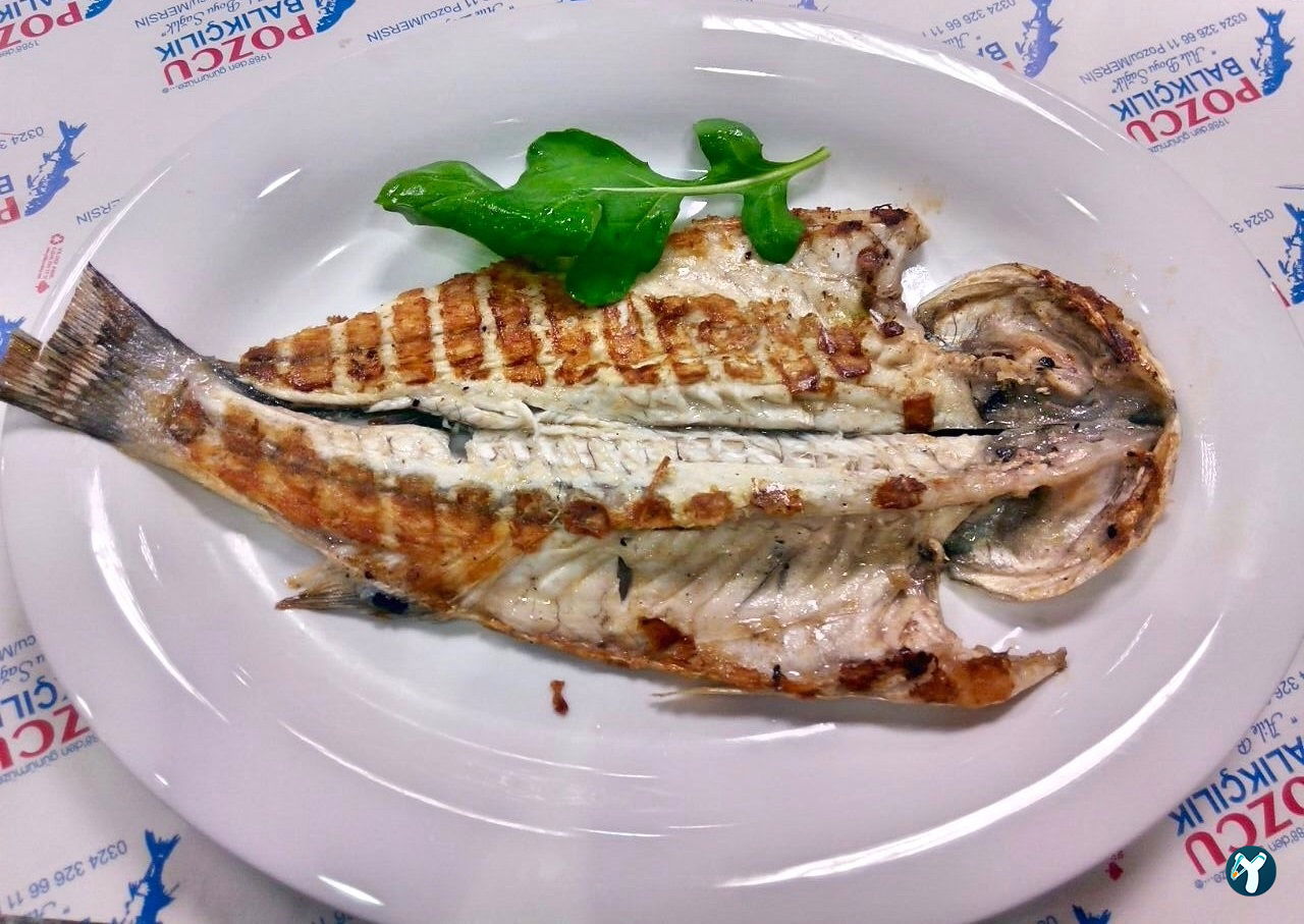 Pozcu Balıkçılık