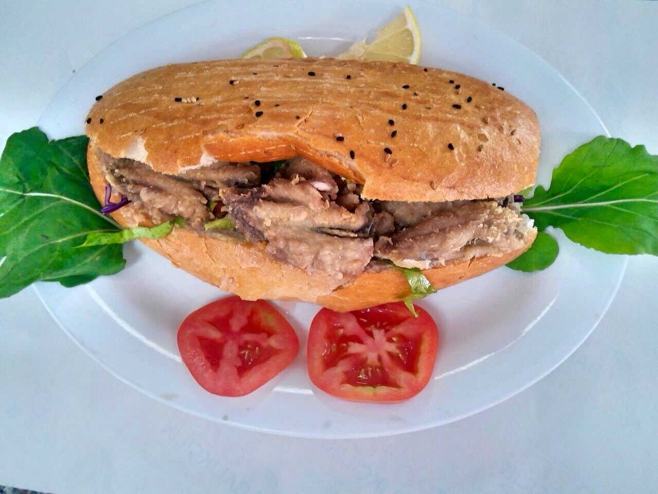 Pozcu Balıkçılık