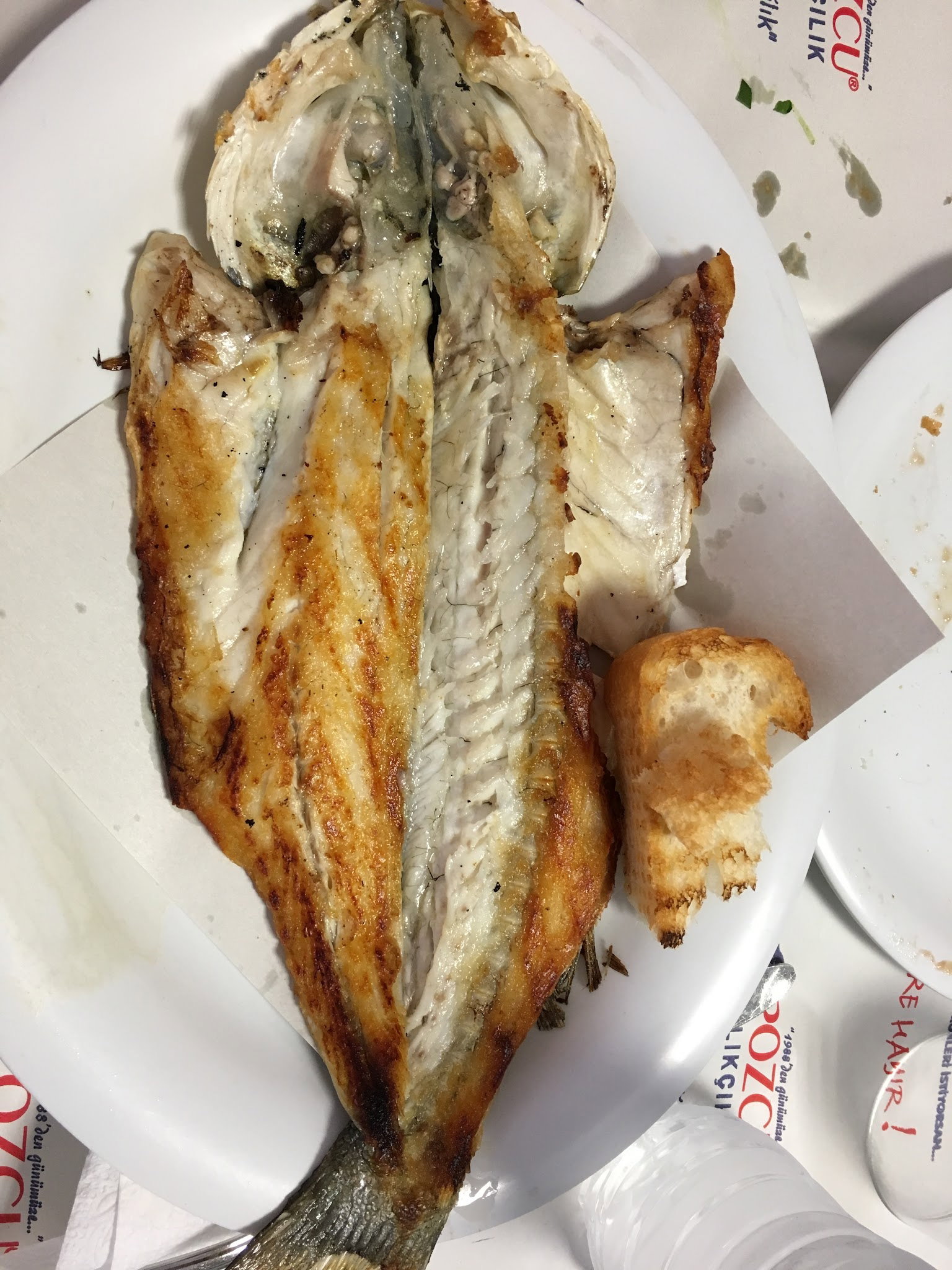 Pozcu Balıkçılık