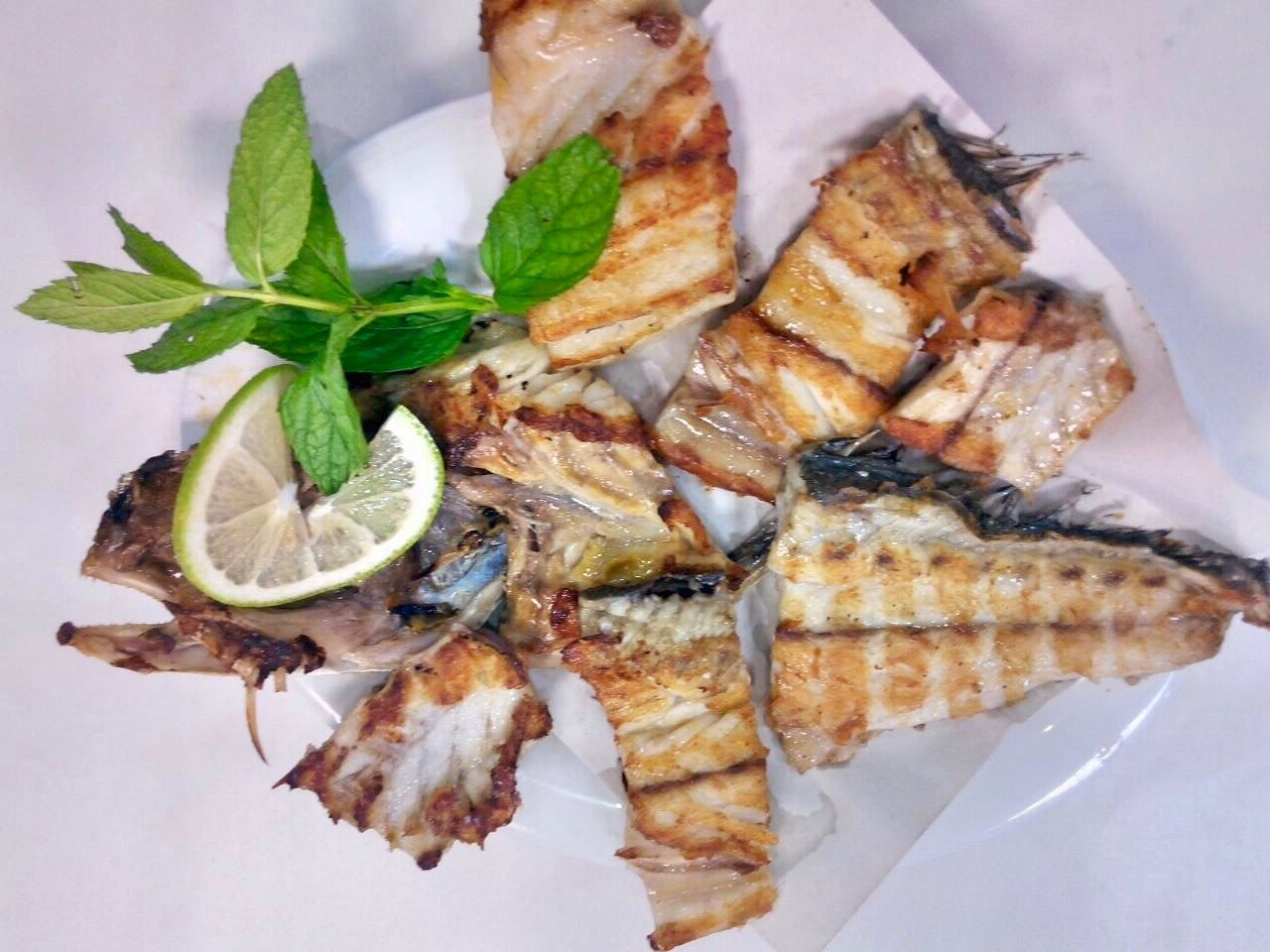 Pozcu Balıkçılık