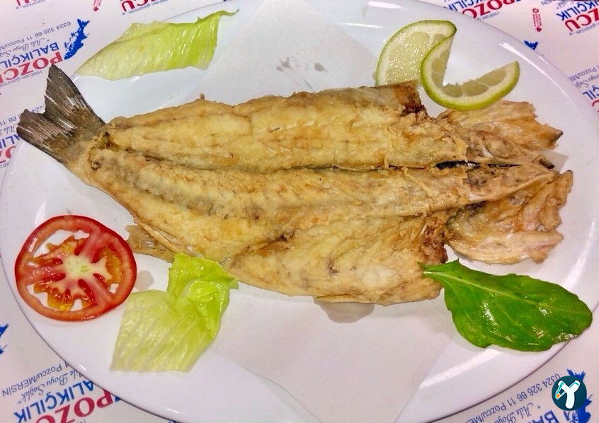 Pozcu Balıkçılık