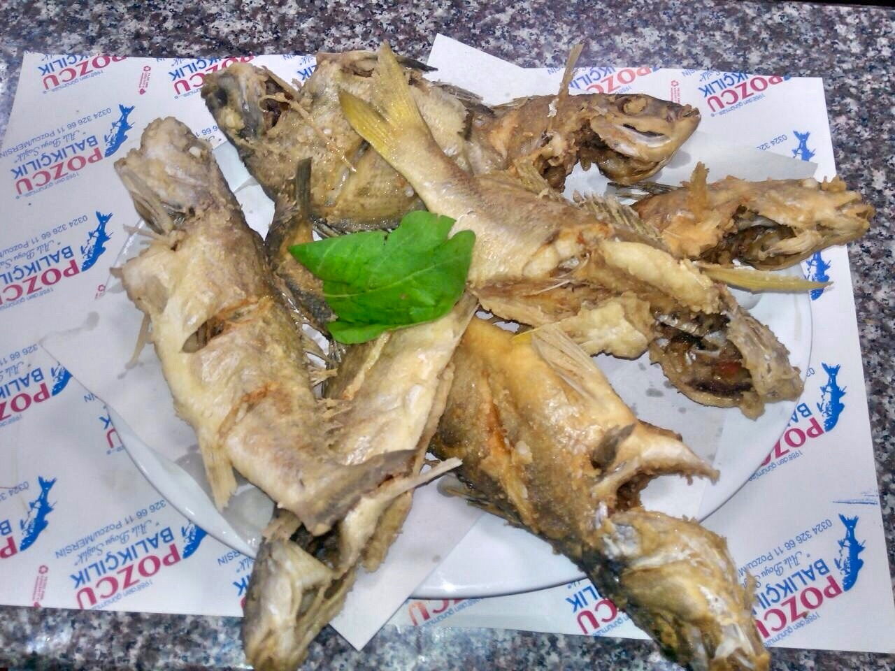 Pozcu Balıkçılık