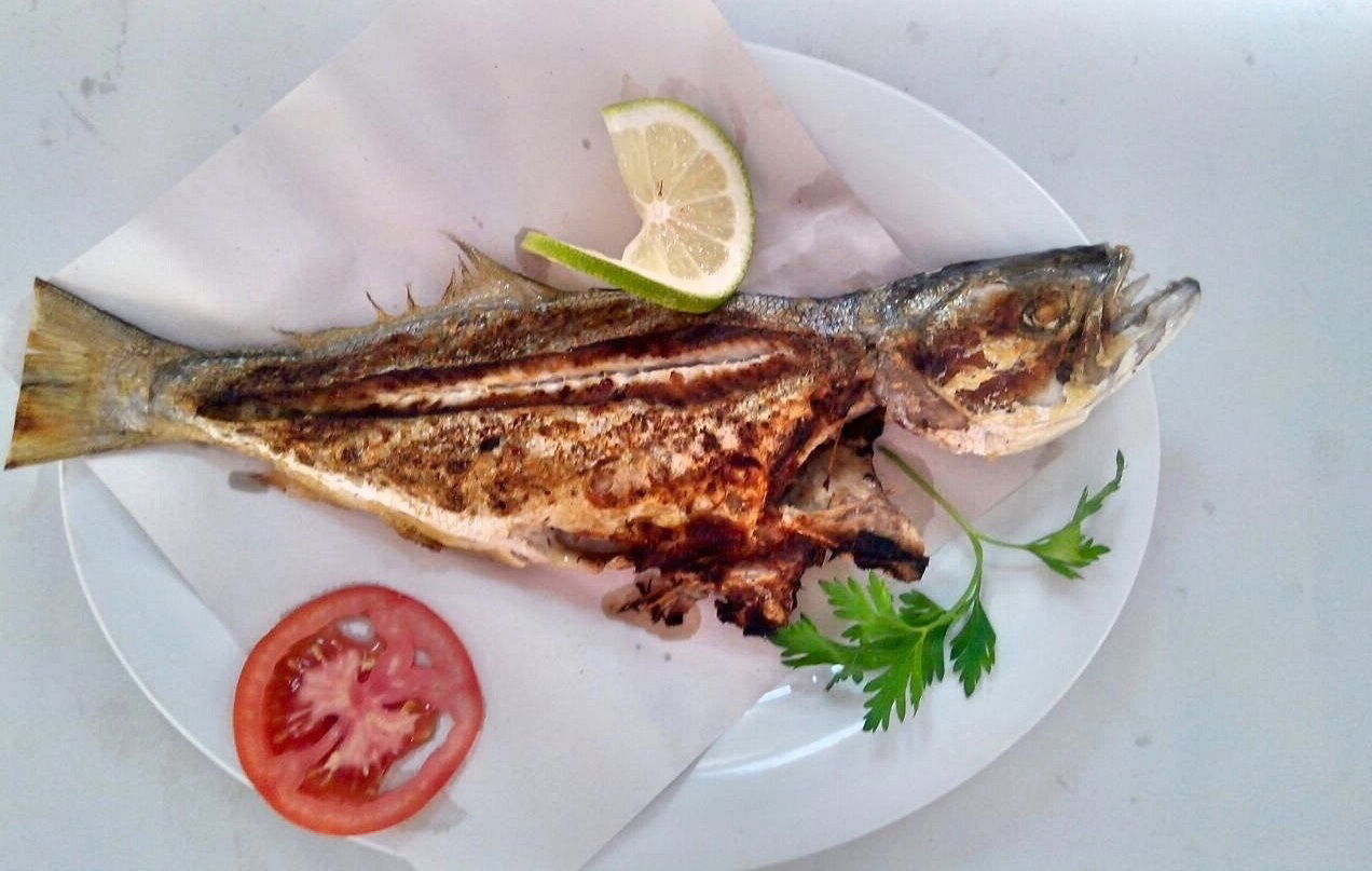 Pozcu Balıkçılık