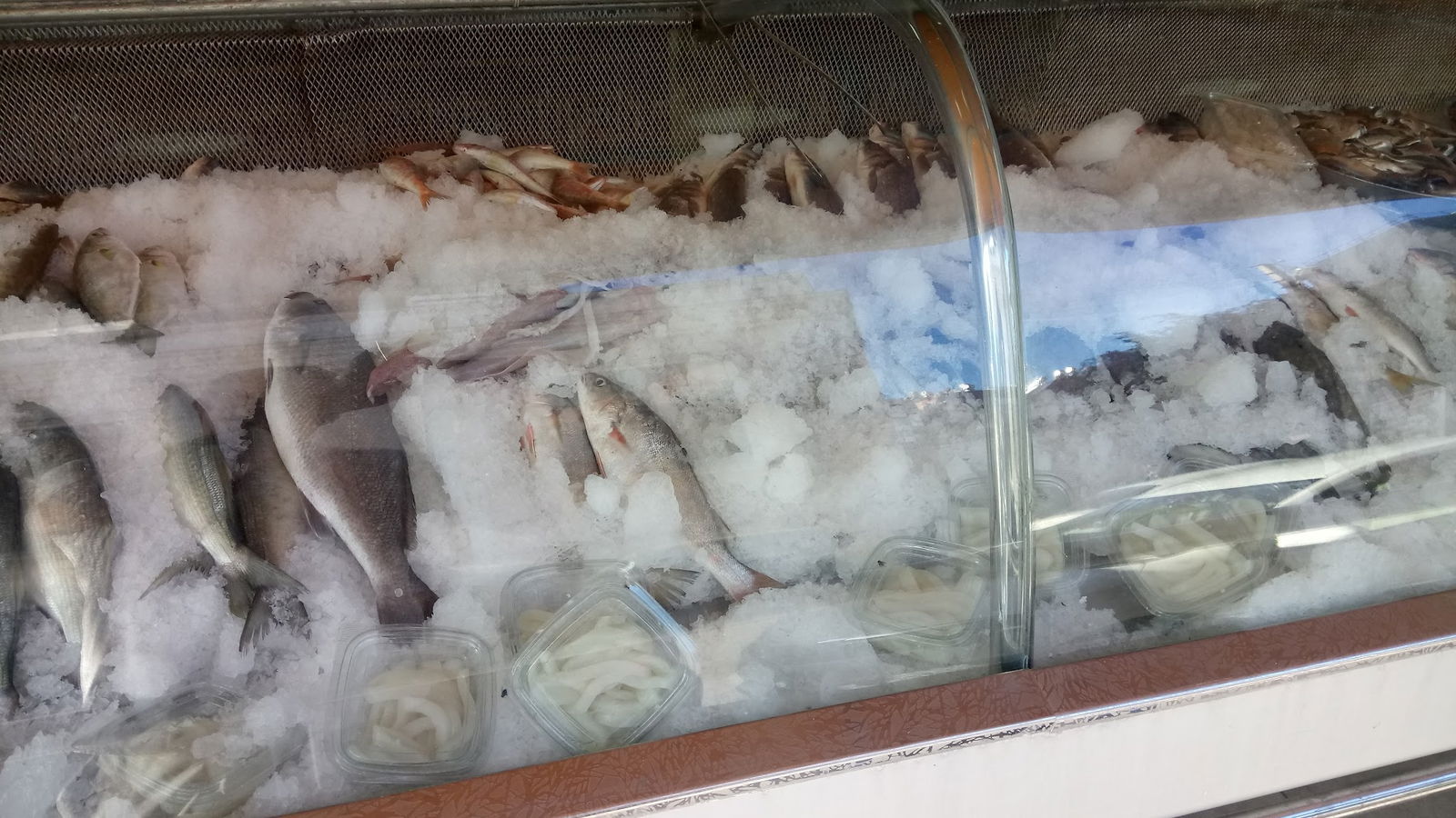 Pozcu Balıkçılık