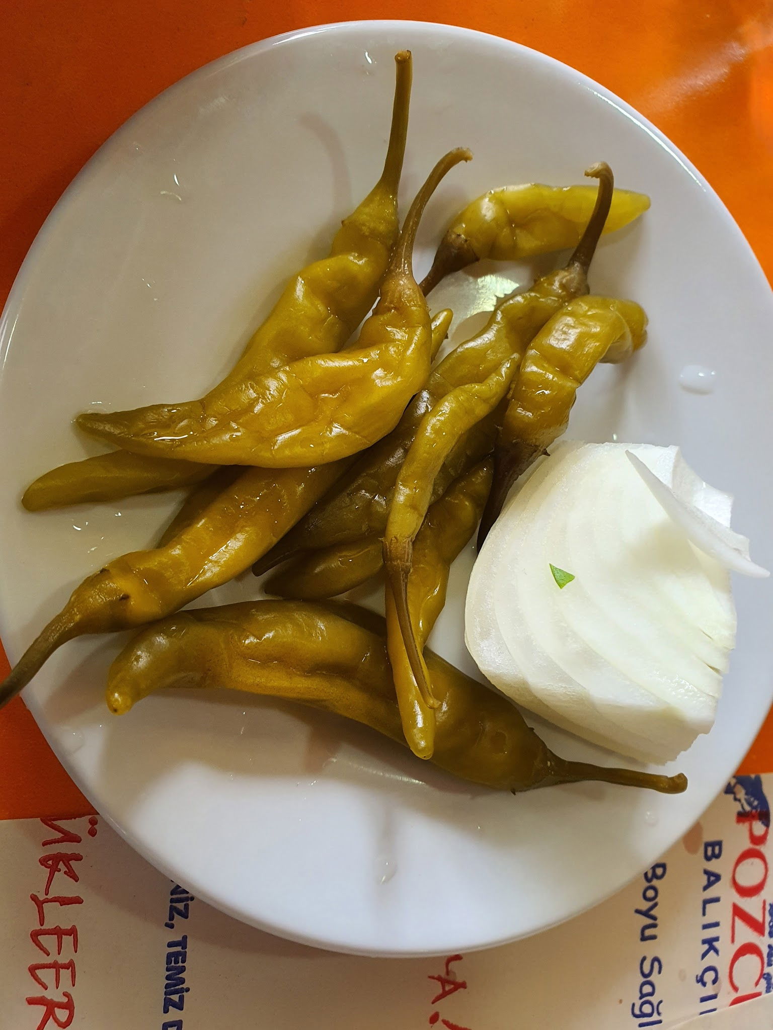 Pozcu Balıkçılık