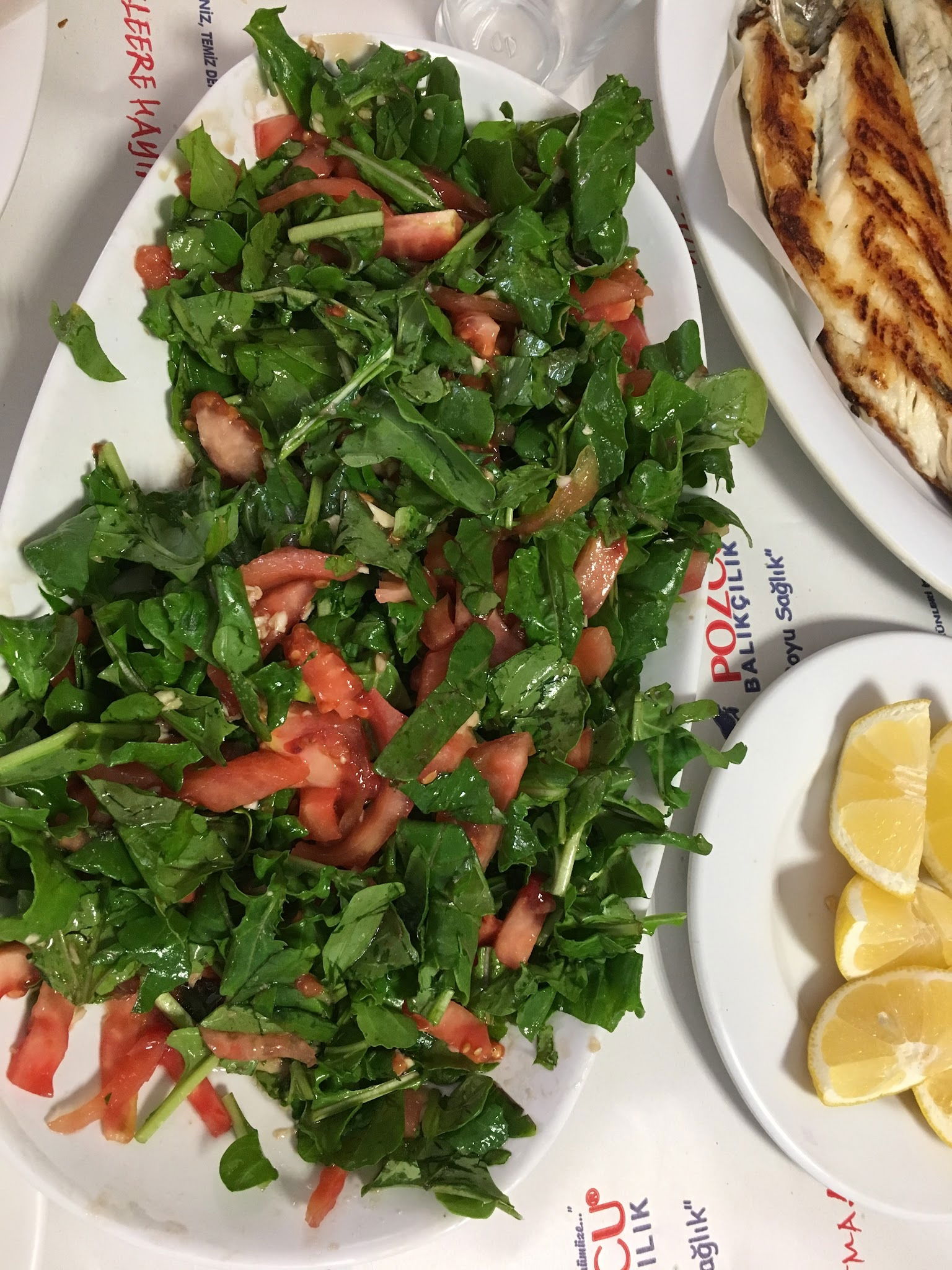 Pozcu Balıkçılık