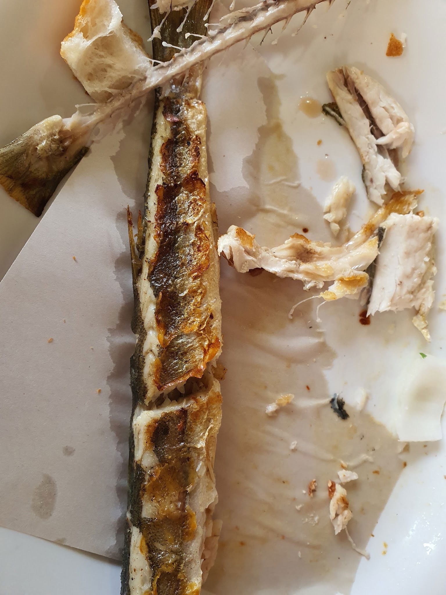 Pozcu Balıkçılık