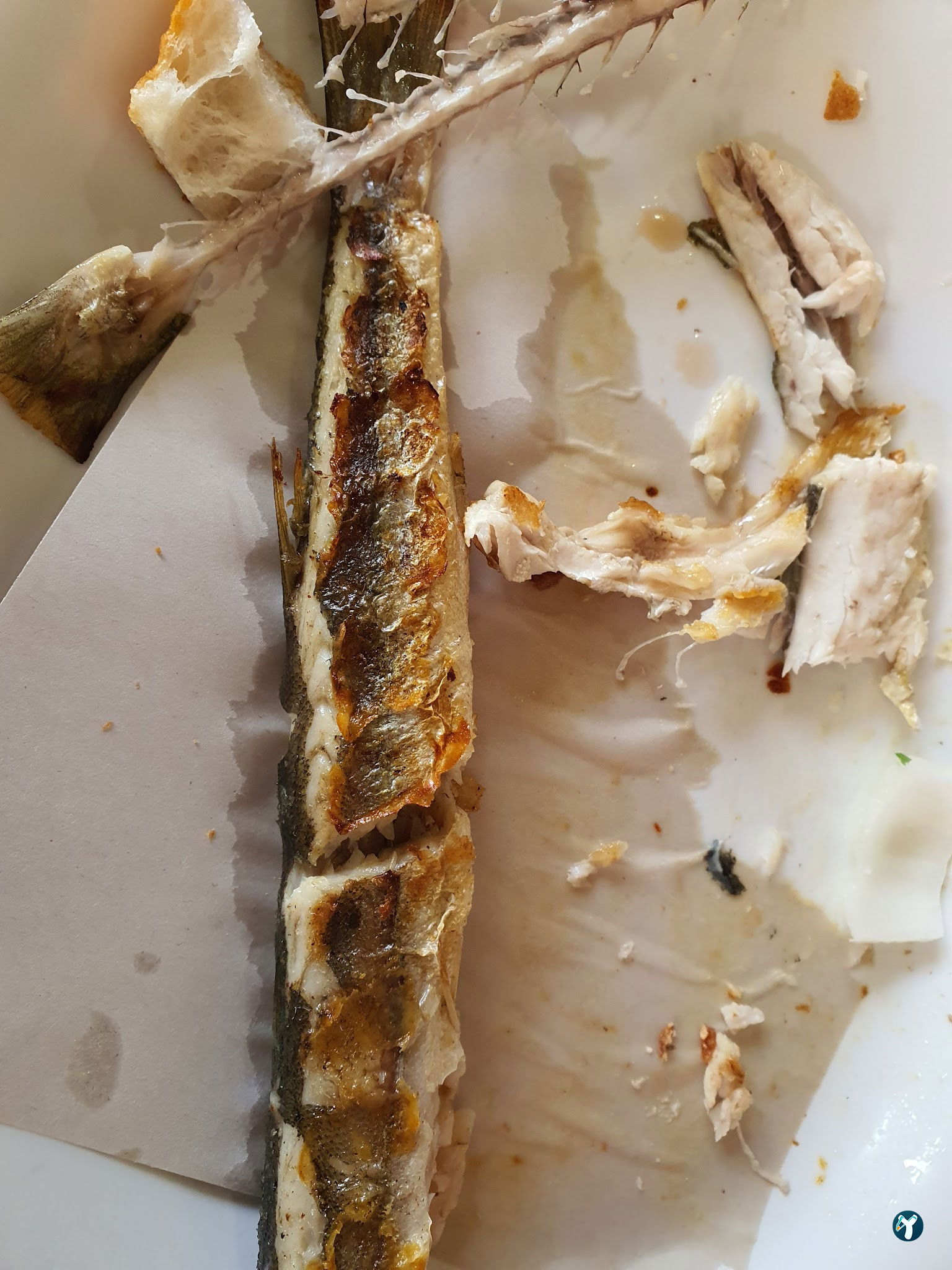 Pozcu Balıkçılık