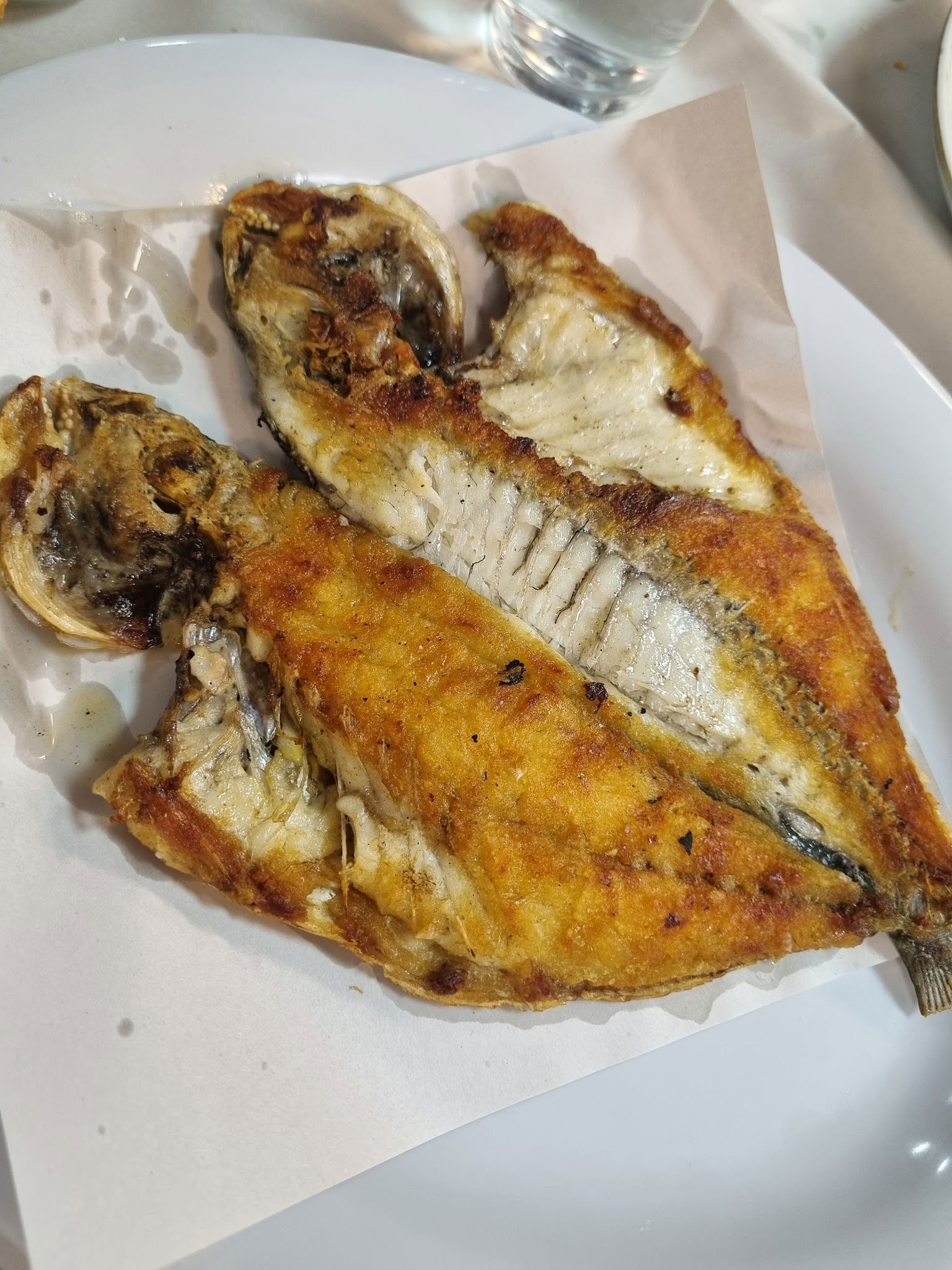 Pozcu Balıkçılık