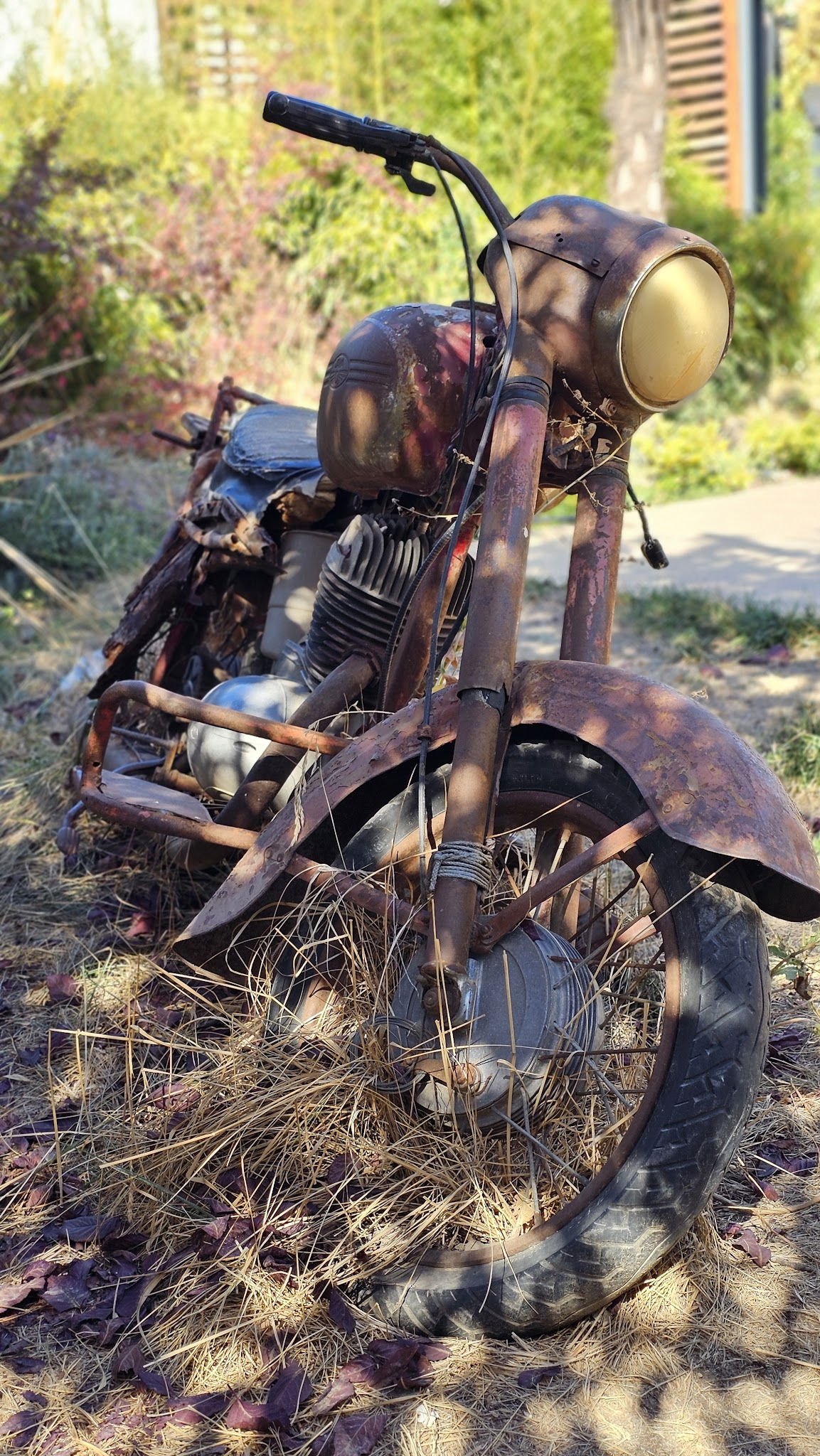 Botanica Cafe & Restorant & Fırın