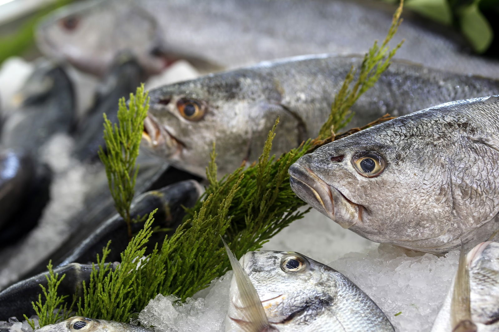 Lamis Et - Balık Restaurant