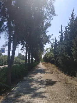 Keyf - İ Sohbet Cafe resimleri