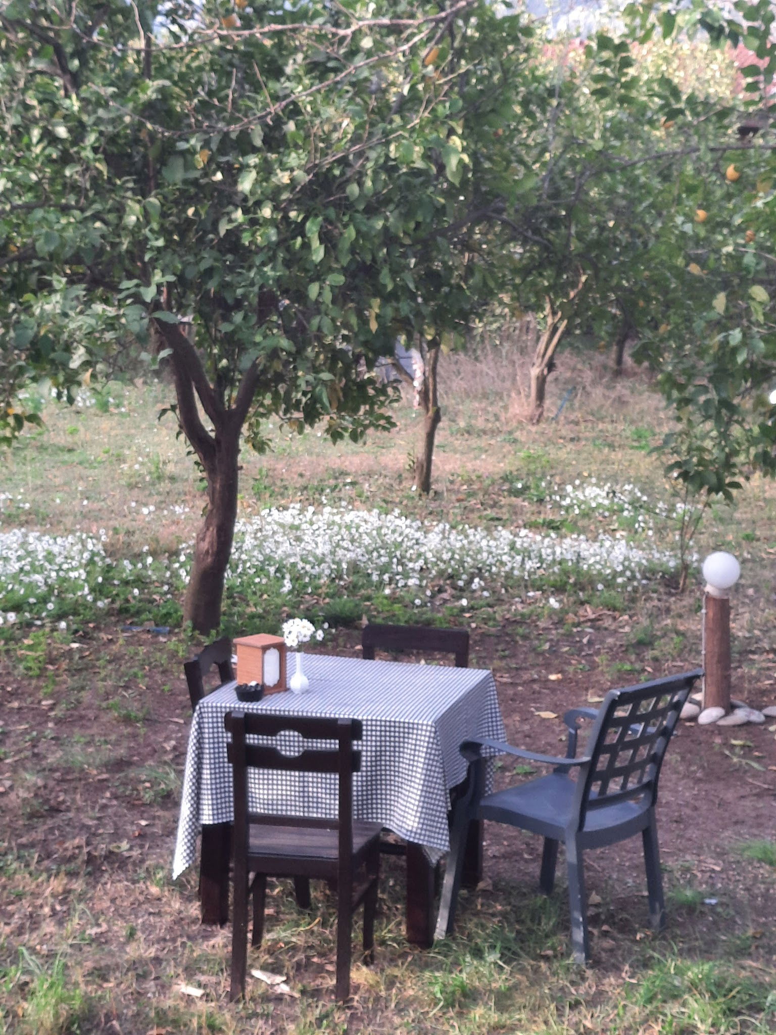 Keyf - İ Sohbet Cafe