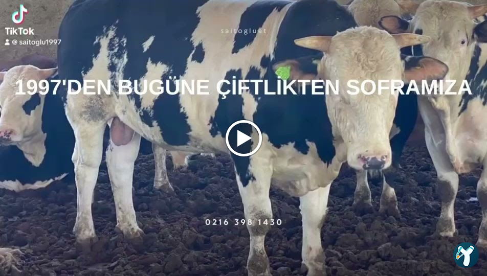 Saitoğlu Yakut Et