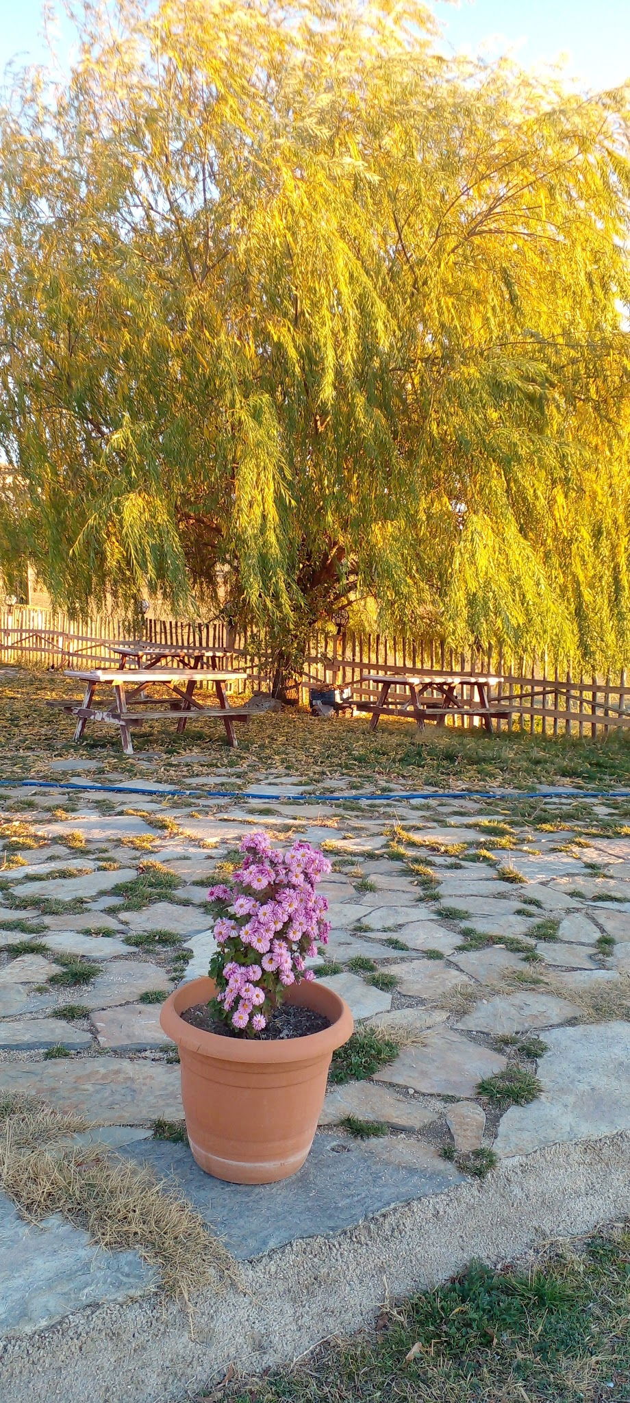 Bahçeli̇ Konak Et Mangal