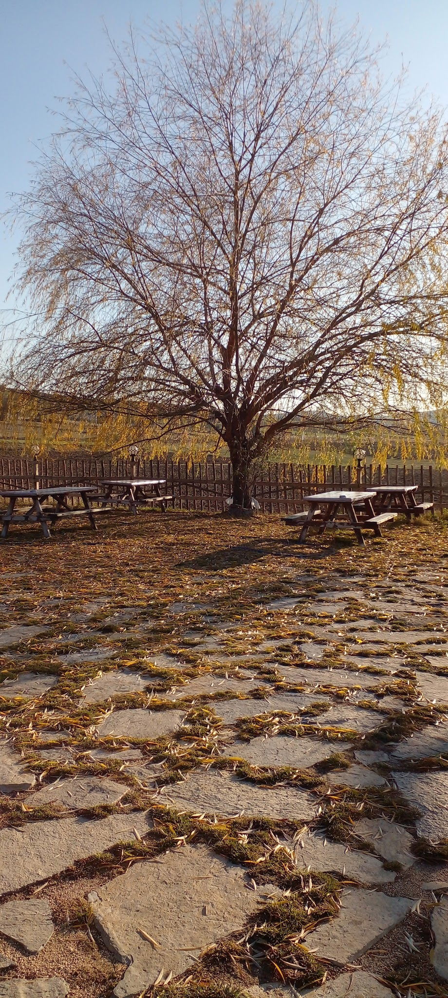 Bahçeli̇ Konak Et Mangal