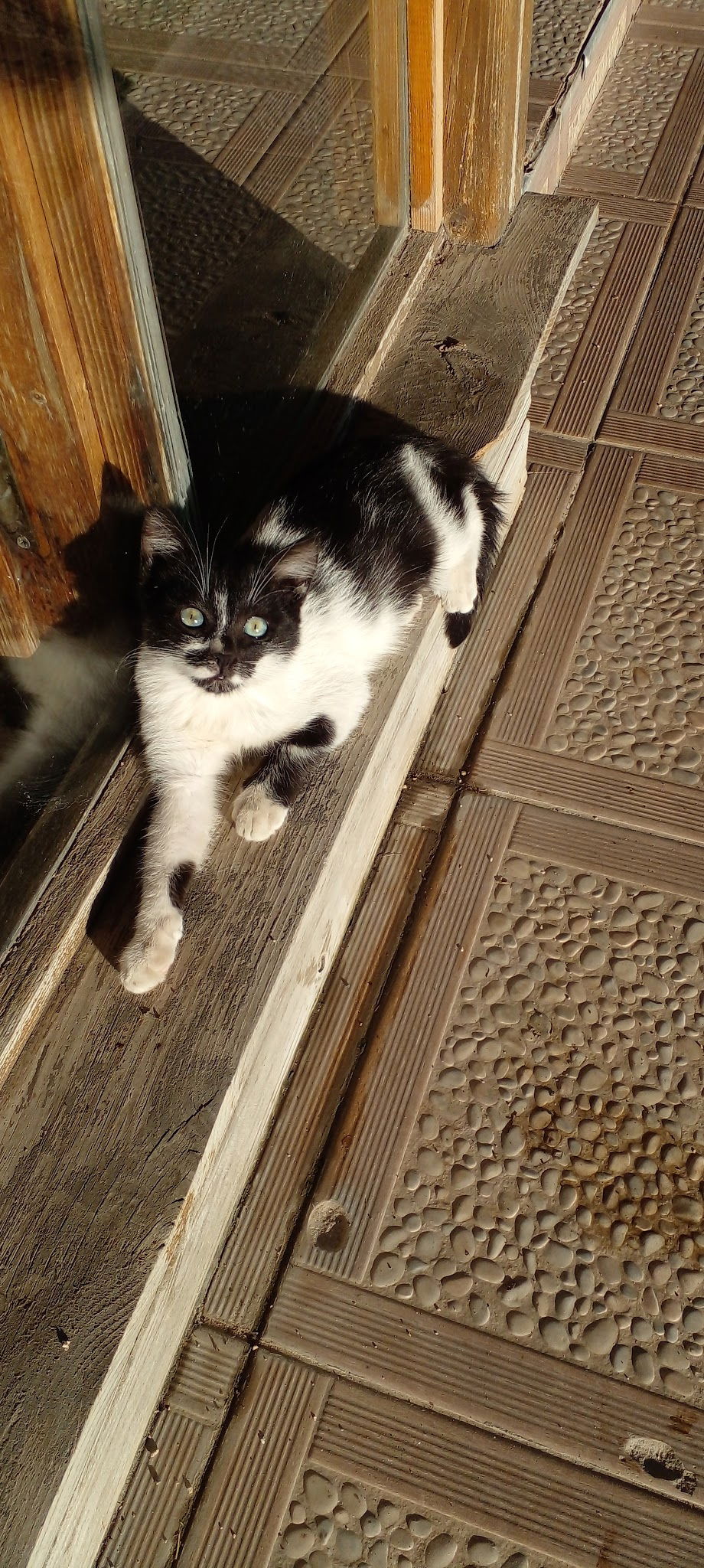 Bahçeli̇ Konak Et Mangal