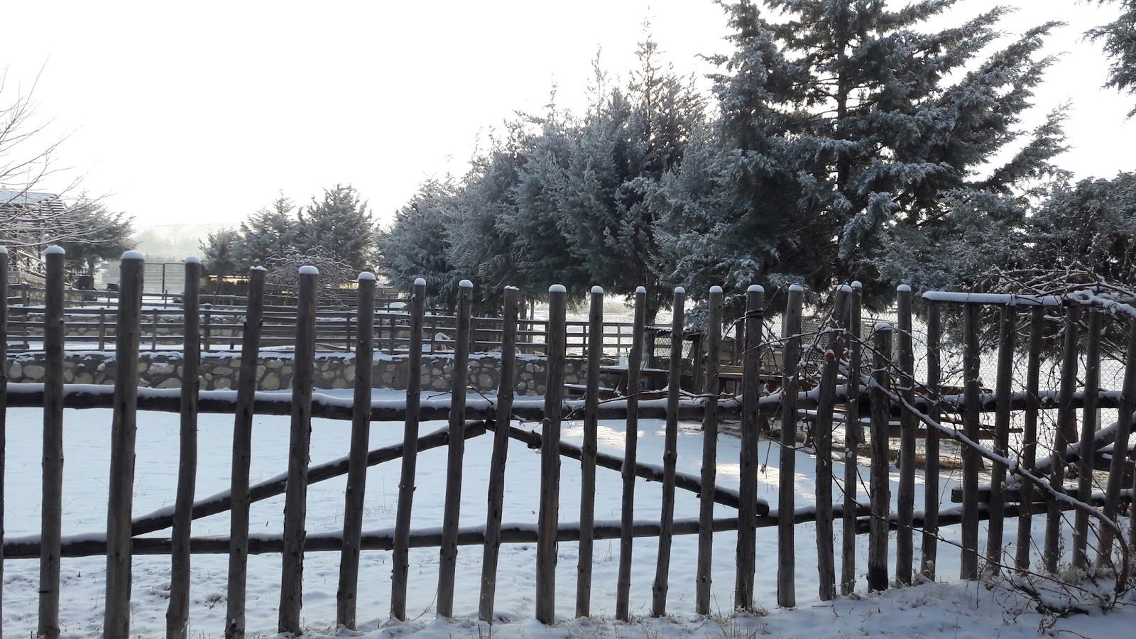 Bahçeli̇ Konak Et Mangal