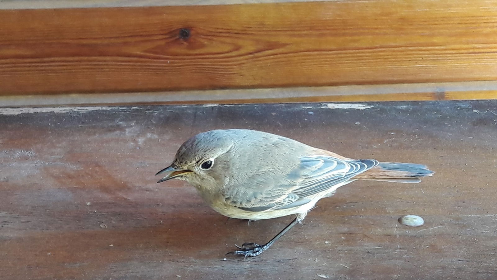 Bahçeli̇ Konak Et Mangal