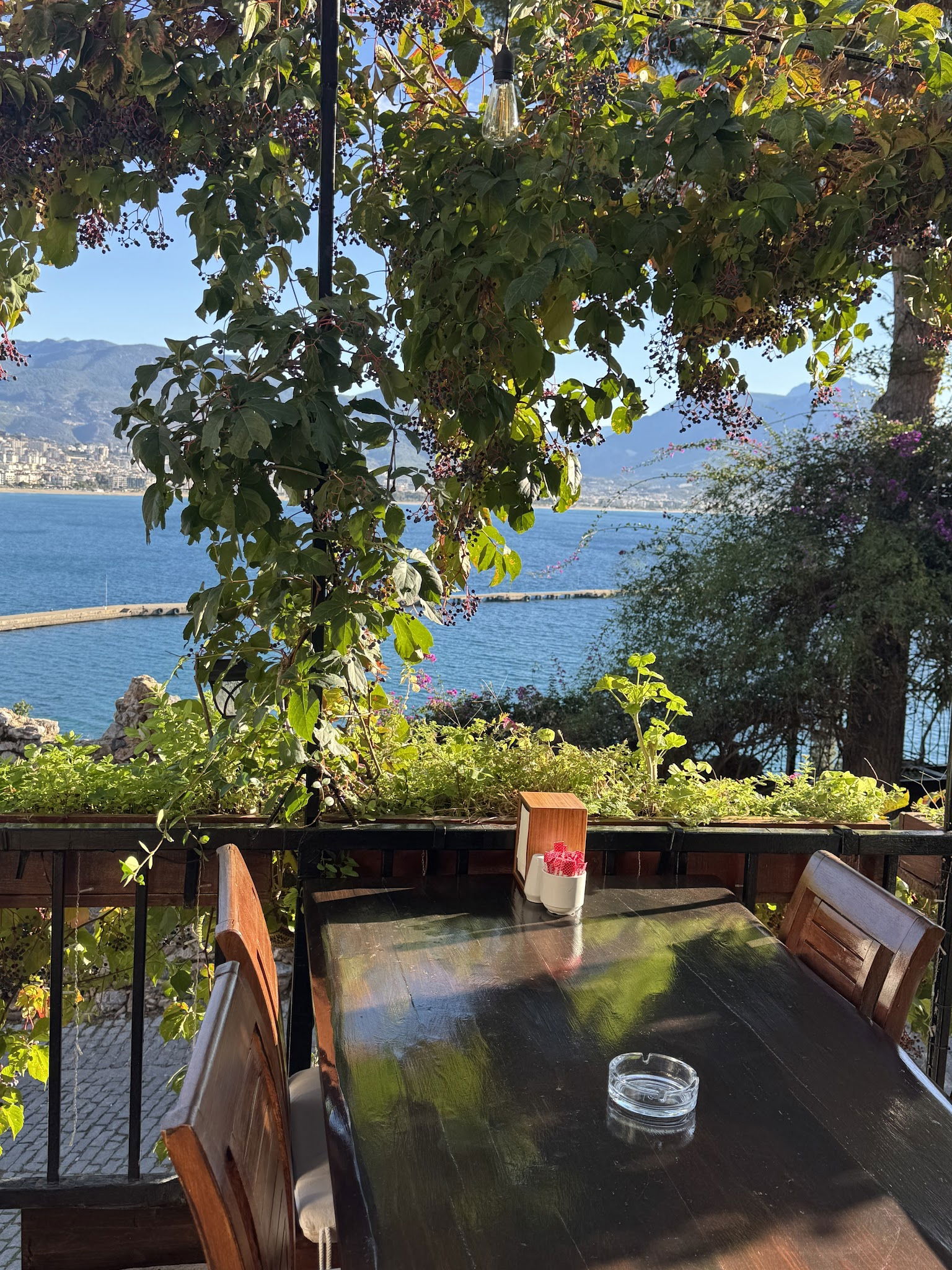 Konak Cafe & Restaurant