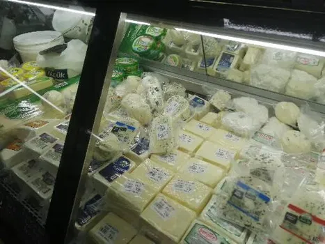 Muğla Tavukçusu resimleri