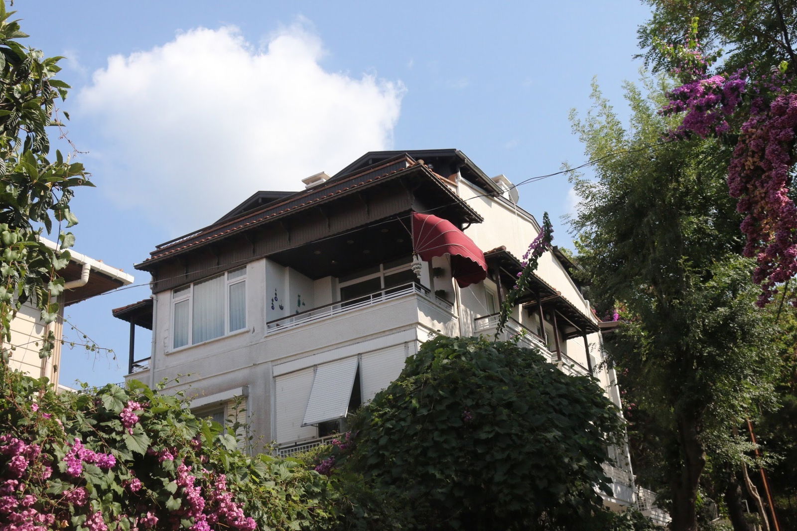Büyükada Bistro Candy Garden Restaurant Cafe