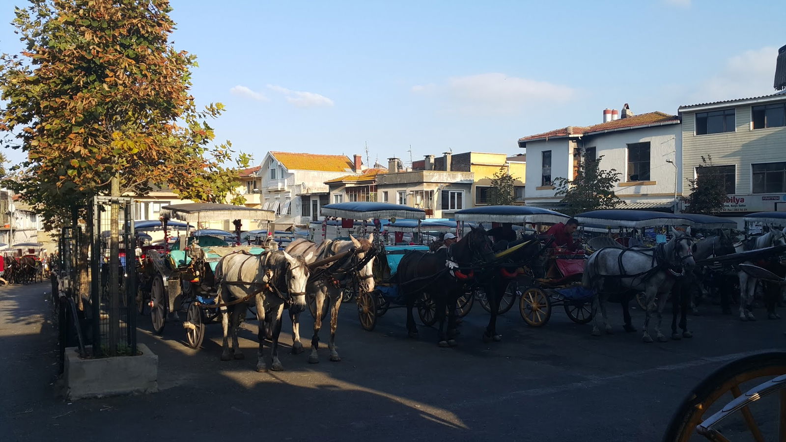 Büyükada Bistro Candy Garden Restaurant Cafe