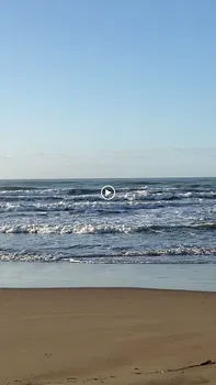 Sunis Evren Beach Hotel Beach Bar Restaurant resimleri