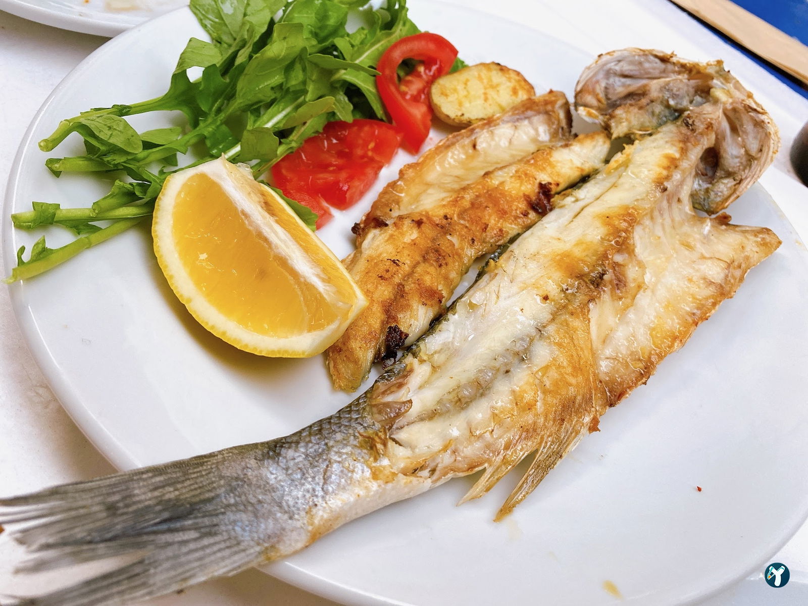 Alsancak Balik