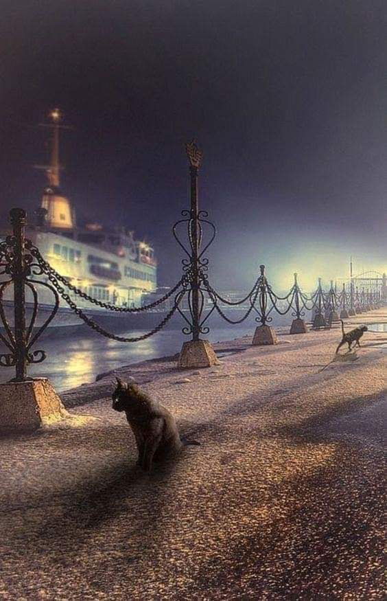 Konyalı Köşk Tem 2