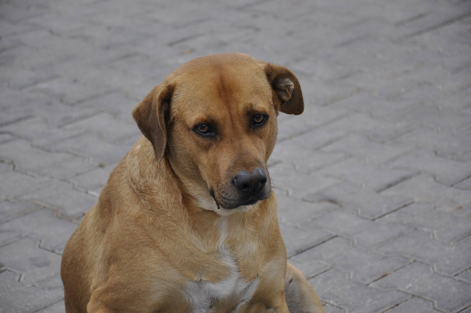 Narlıkuyu Lokmac Teacher'S Place