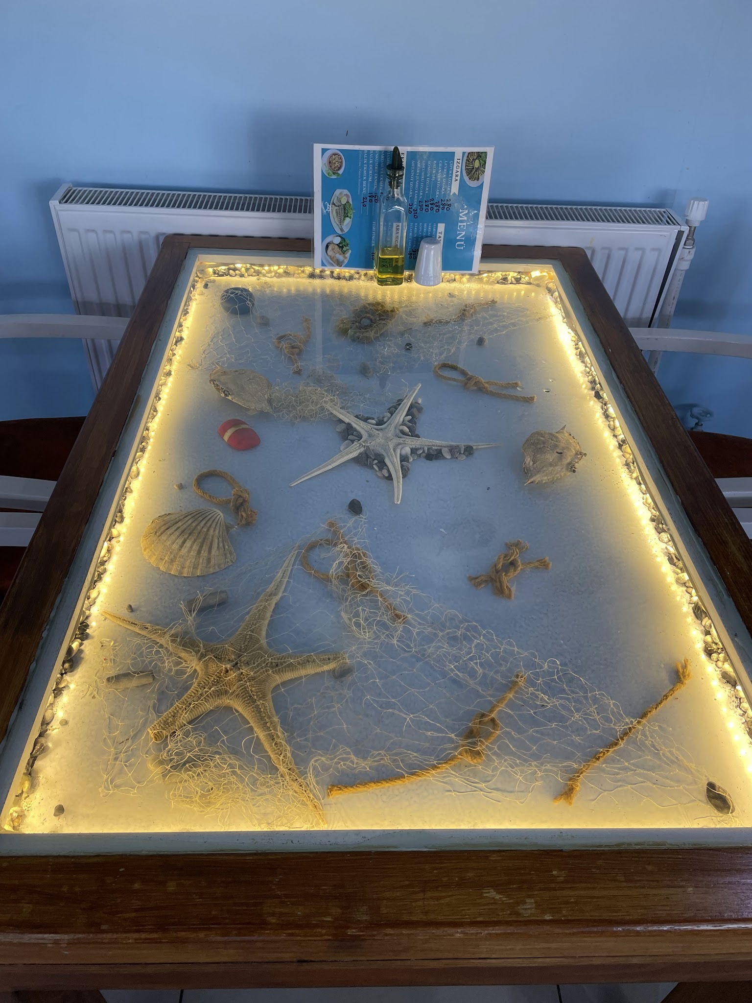 Balık Dünyası Muğla