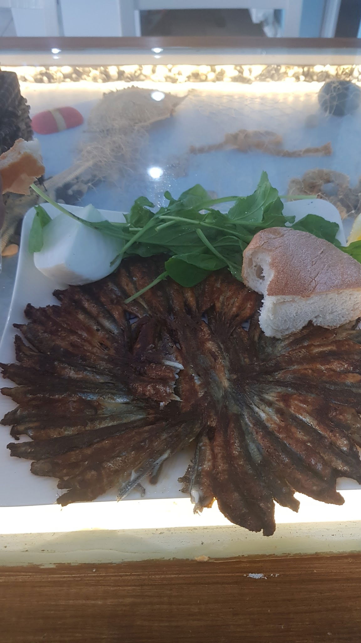 Balık Dünyası Muğla