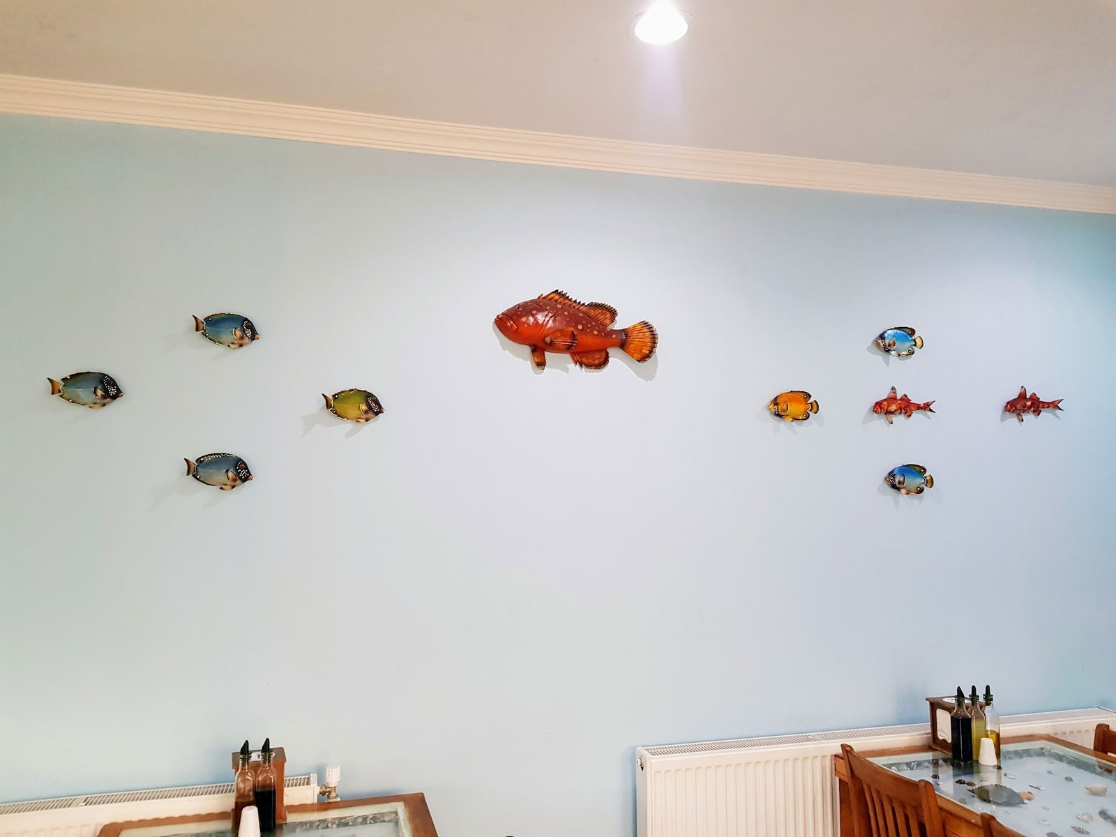 Balık Dünyası Muğla