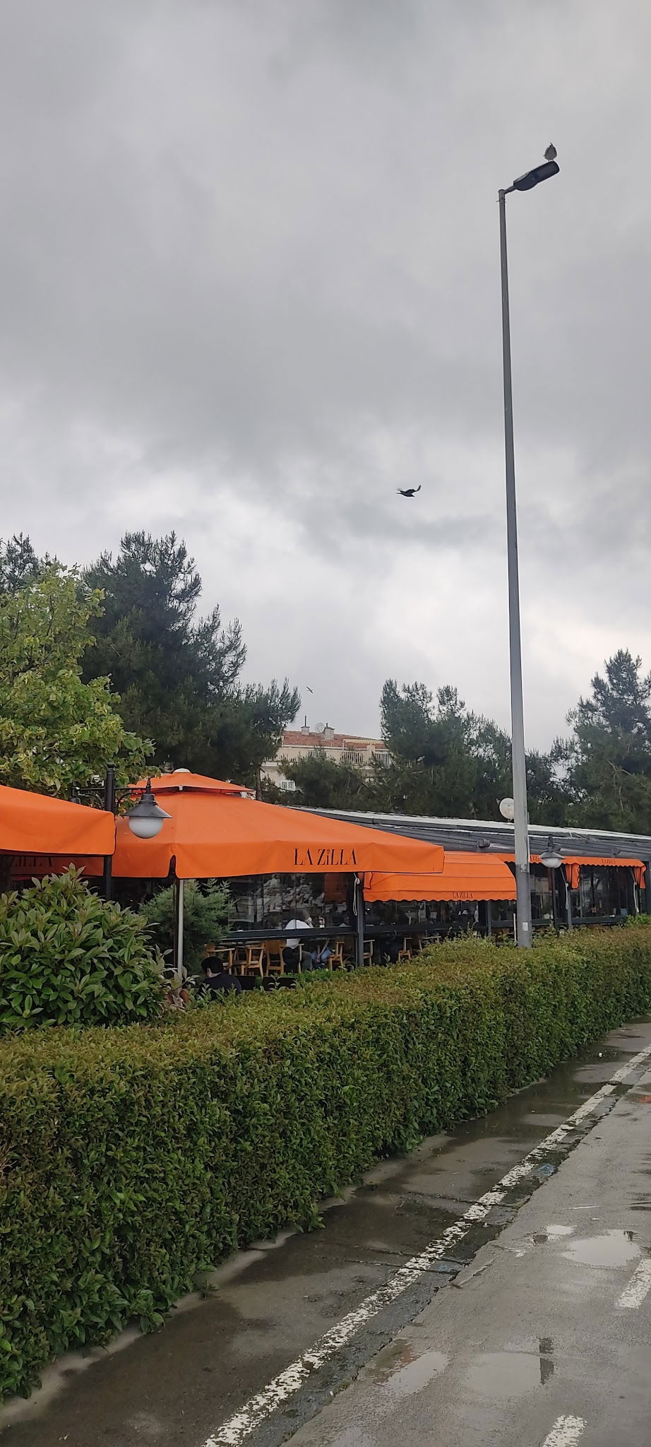 Lazilla Cafe & Restaurant