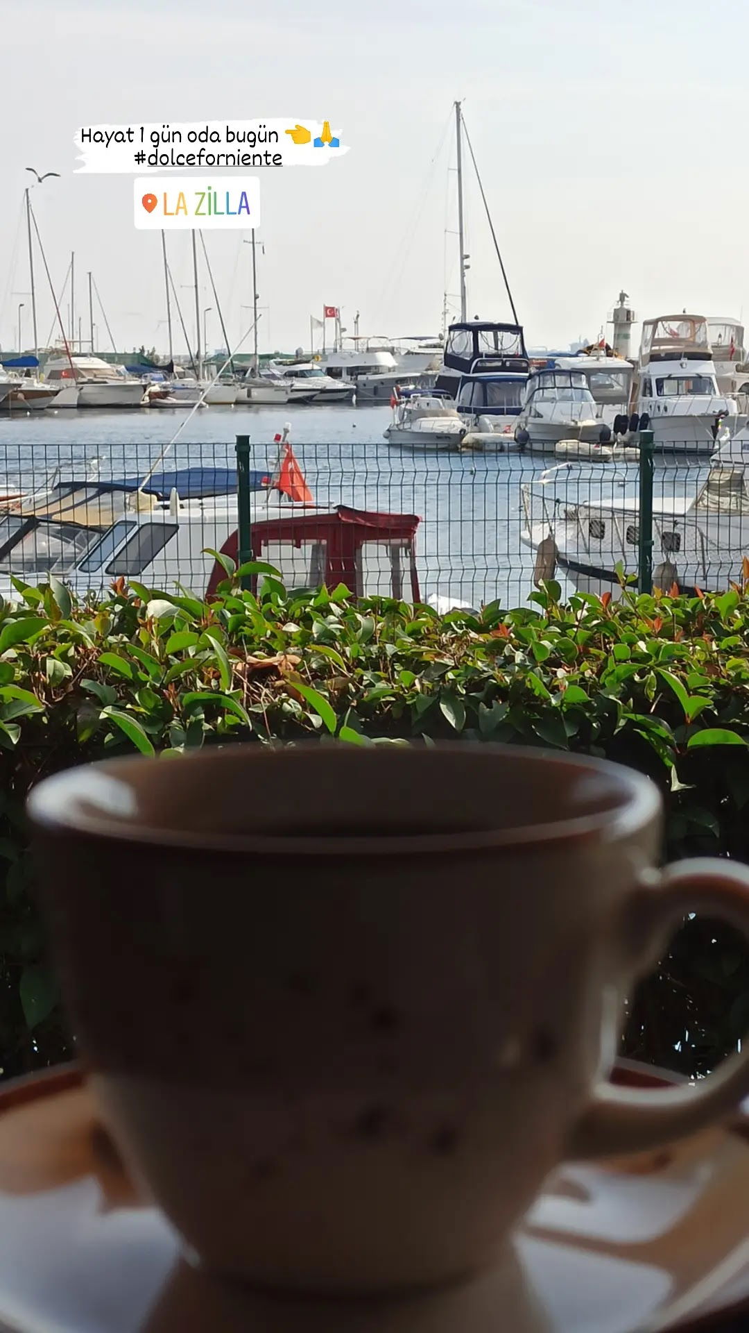 Lazilla Cafe & Restaurant