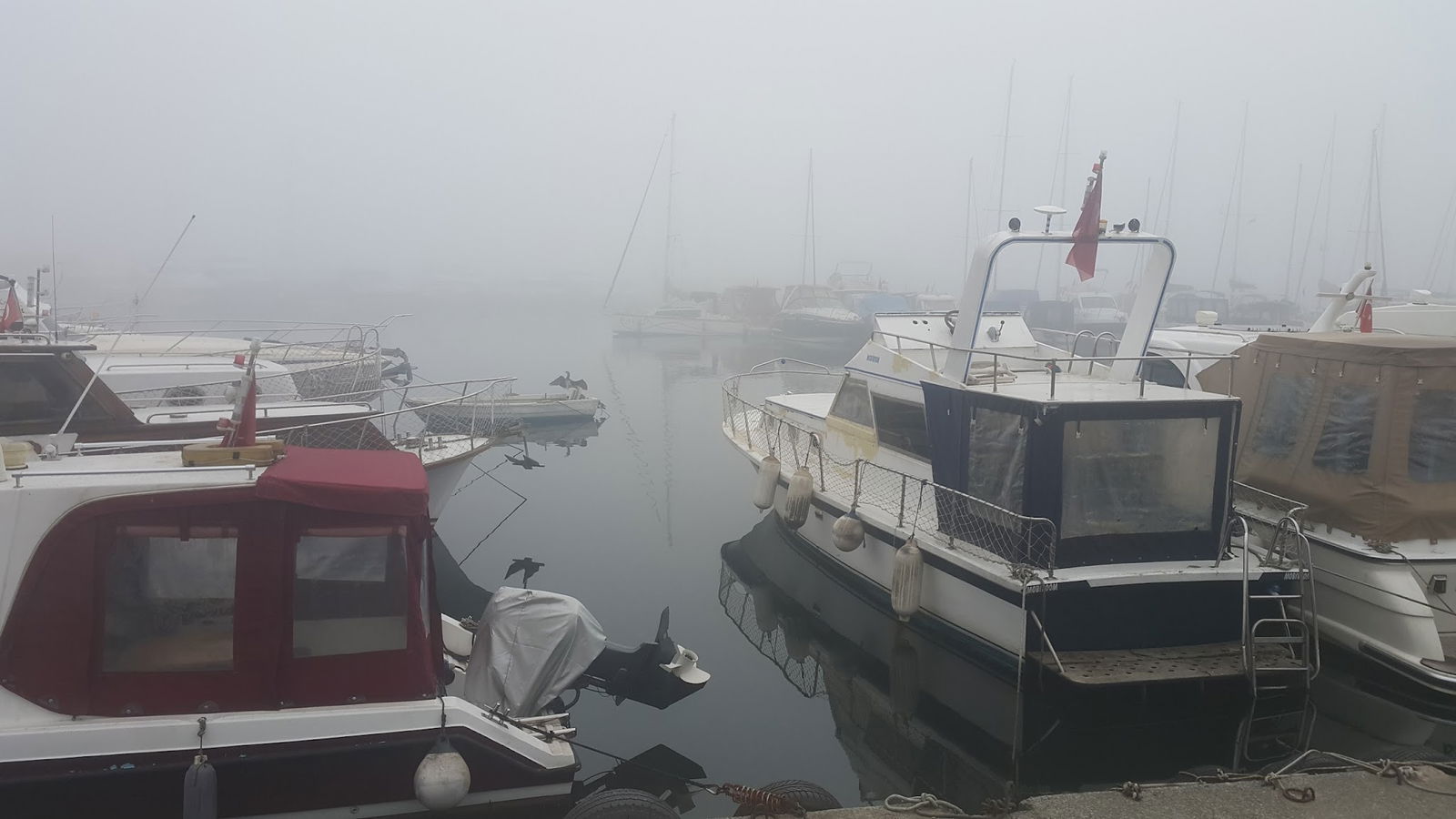 Lazilla Cafe & Restaurant