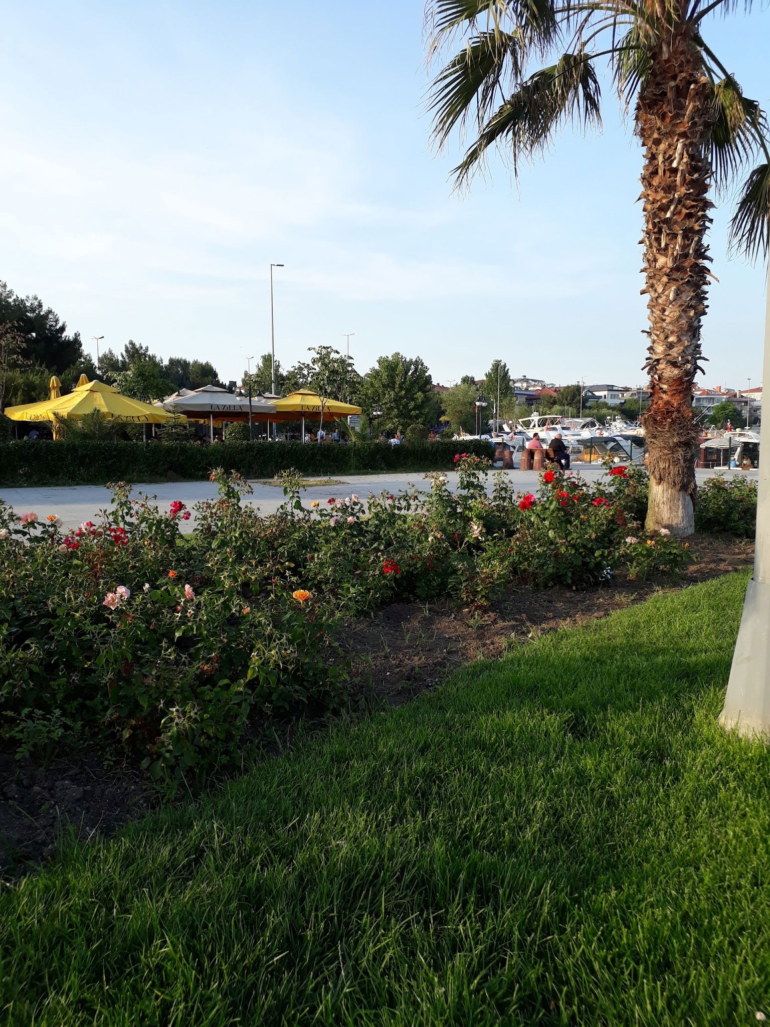 Lazilla Cafe & Restaurant