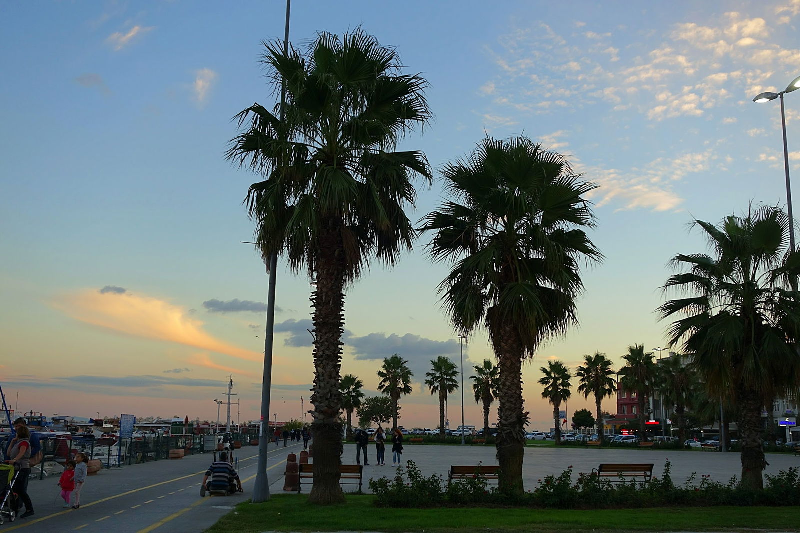 Lazilla Cafe & Restaurant