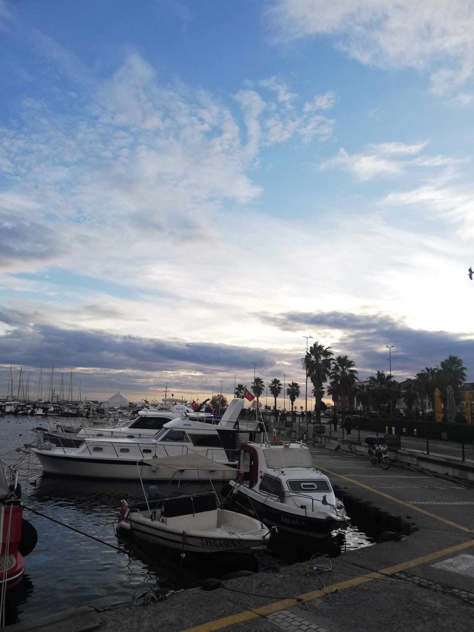 Lazilla Cafe & Restaurant