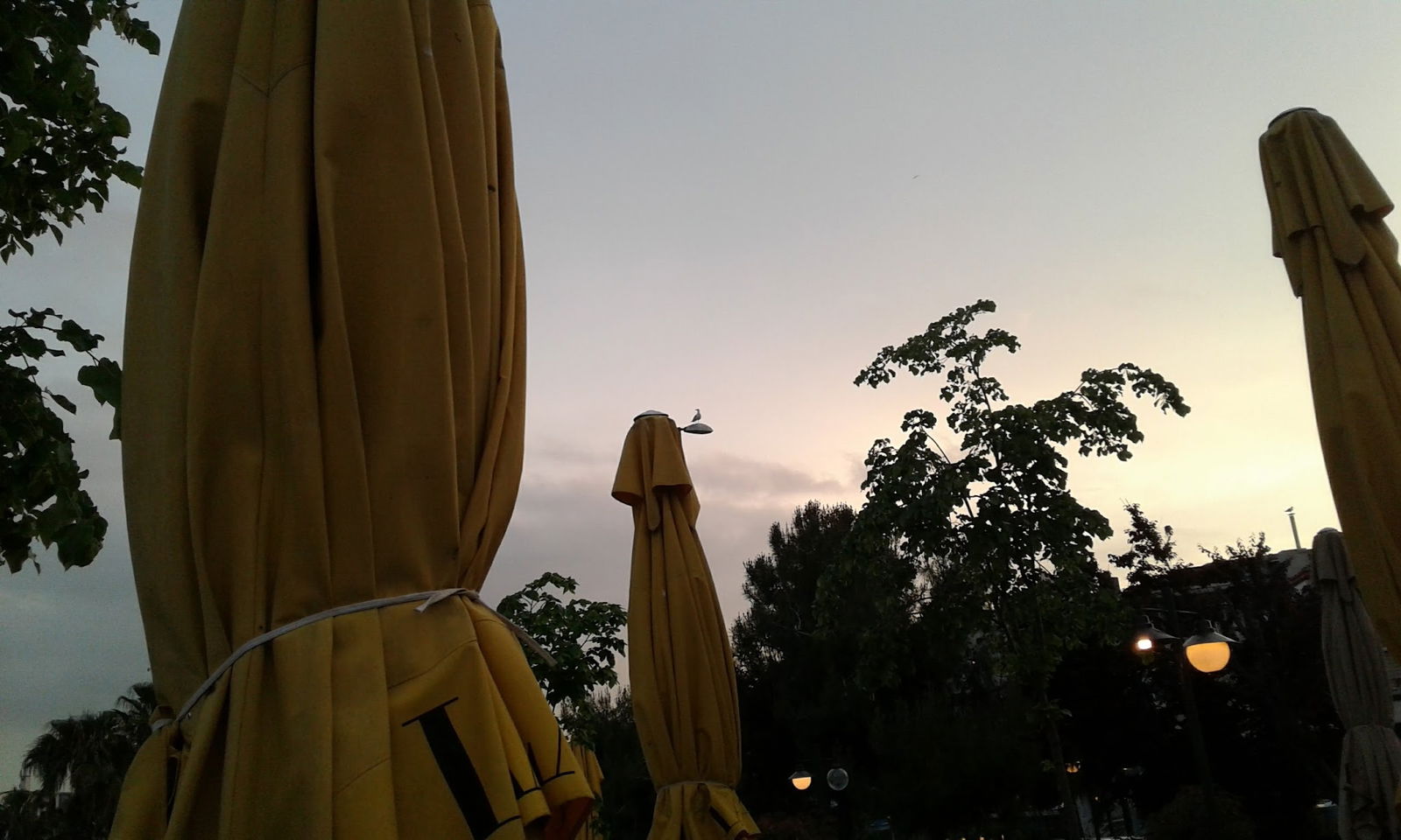 Lazilla Cafe & Restaurant